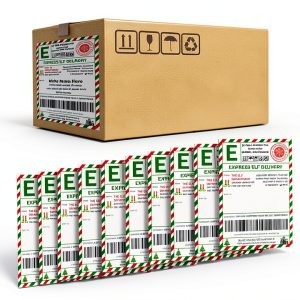 24 Pcs Christmas Elf Mail Labels 8.5" X 5.5" Stickers Tags for Kids Xmas Gift Box and Bags, Santa Workshop Shipping Label Stickers from North Pole-0